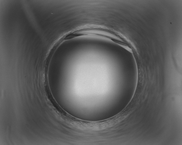 X0000084040015200702232337