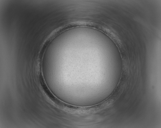 X0000084040016200702232337