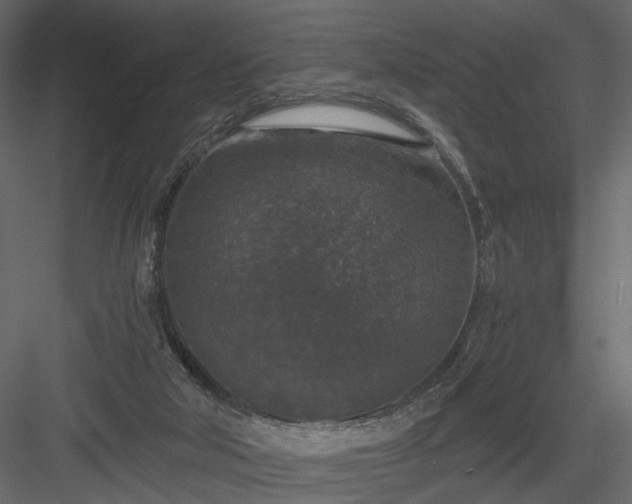 X0000084040018200702232337