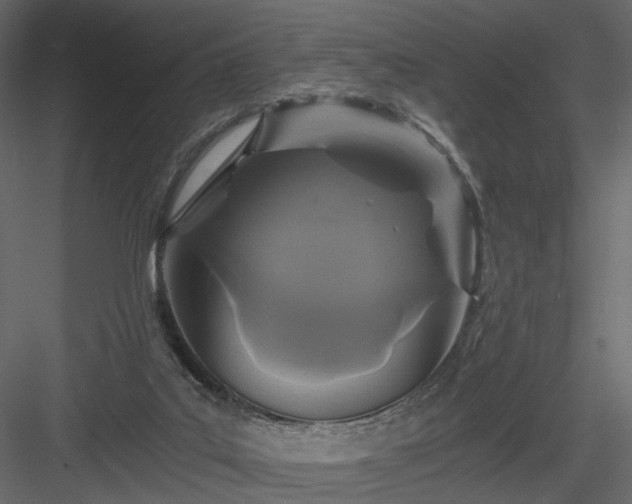 X0000084040019200702232337