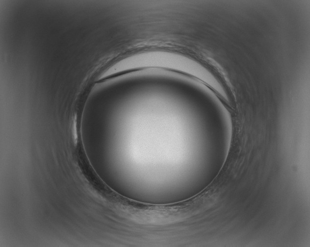 X0000084040020200702232337