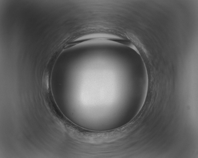 X0000084040021200702232337