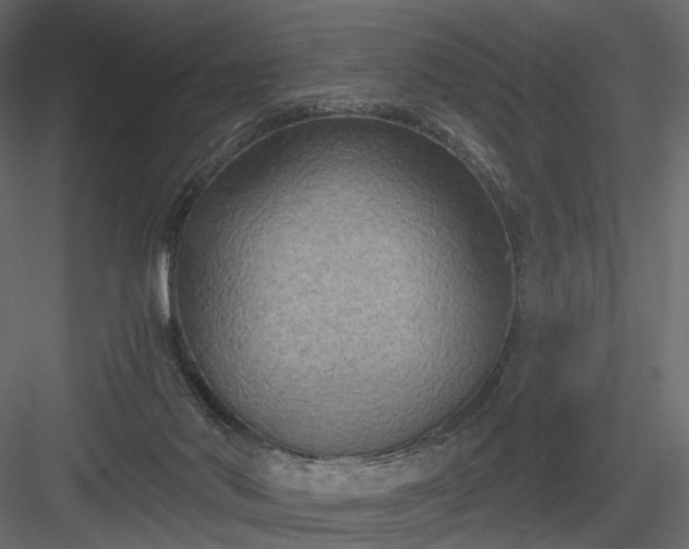 X0000084040022200702232337