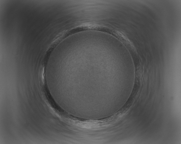 X0000084040024200702232337