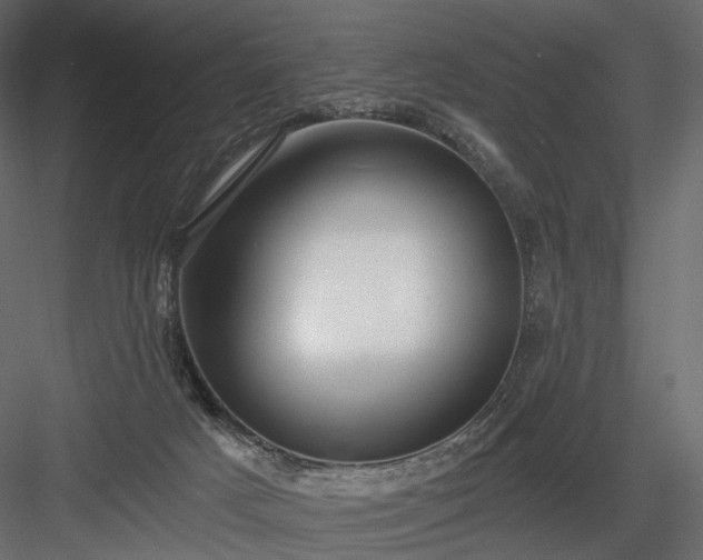 X0000084040025200702232337