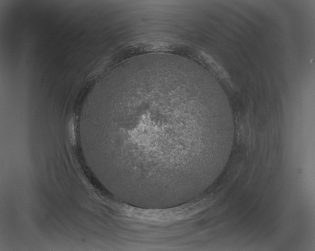 X0000084040026200702232337