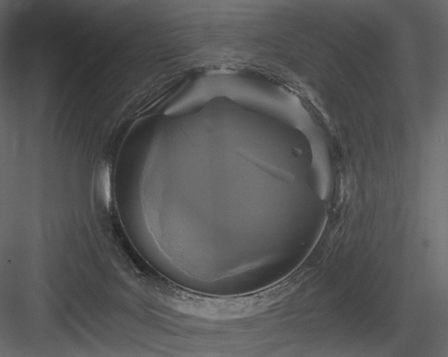 X0000084040027200702232337