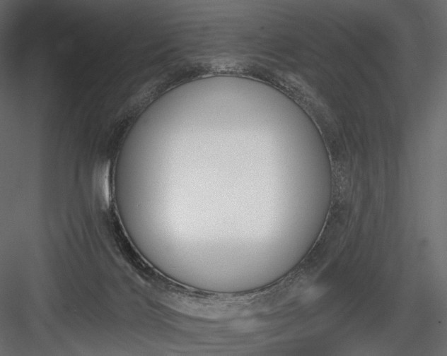 X0000084040028200702232337