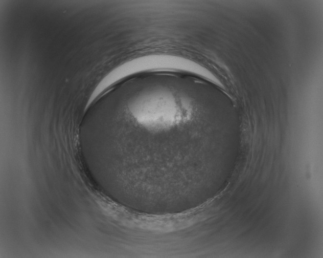 X0000084040029200702232337