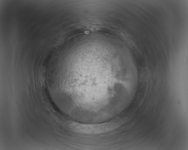 X0000084040030200702232337