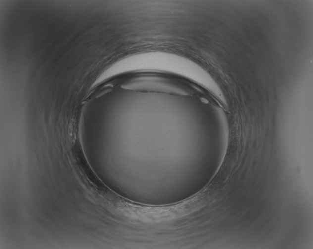 X0000084040031200702232337