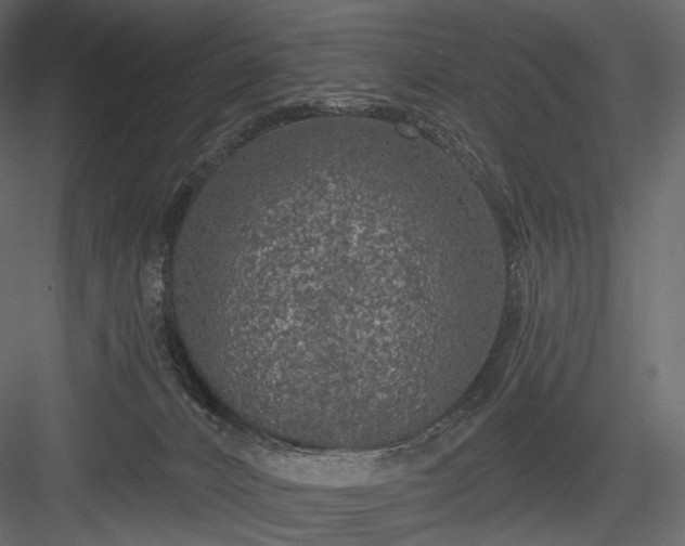 X0000084040032200702232337