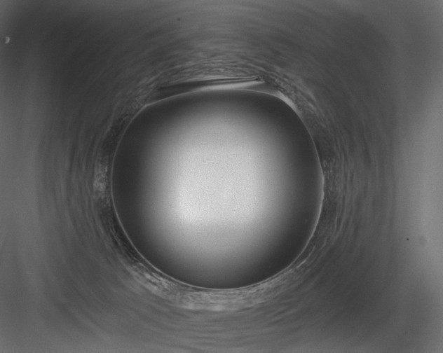 X0000084040033200702232337