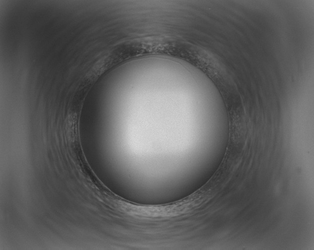 X0000084040034200702232336