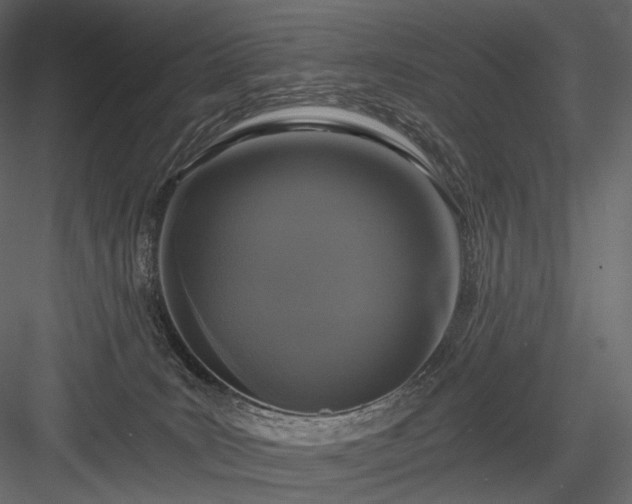 X0000084040035200702232336