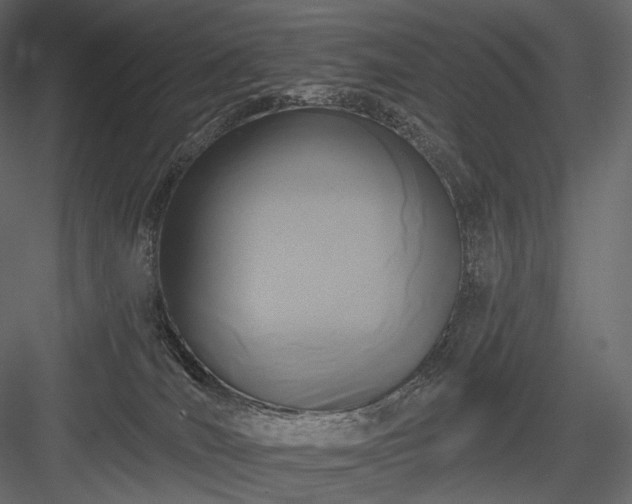 X0000084040036200702232336