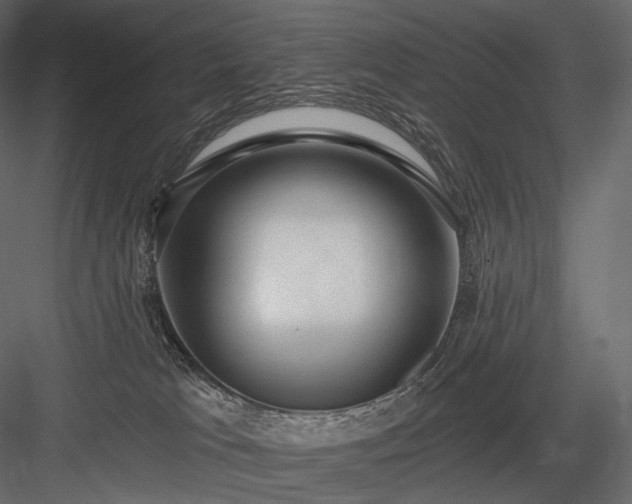 X0000084040037200702232336