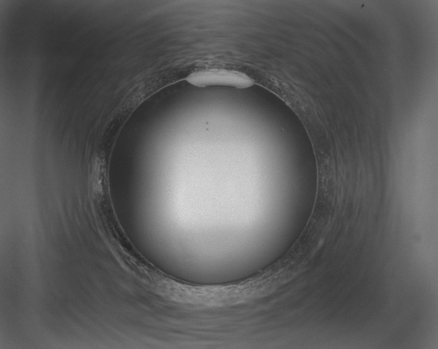 X0000084040038200702232336