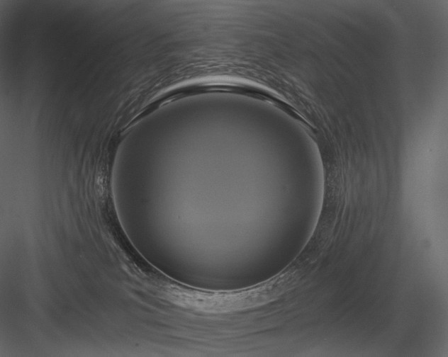 X0000084040039200702232336