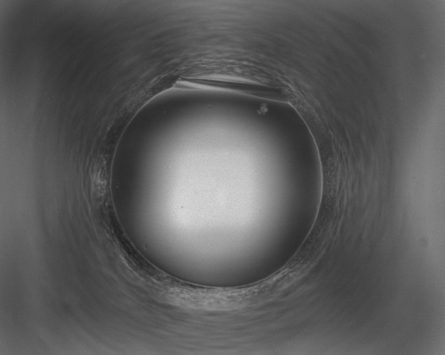 X0000084040040200702232336