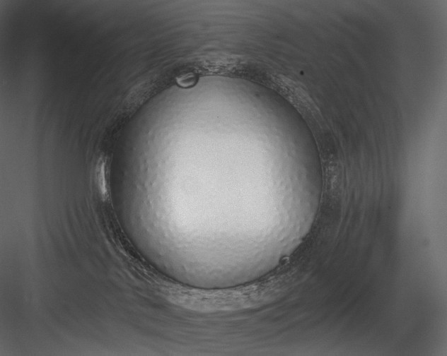 X0000084040042200702232336