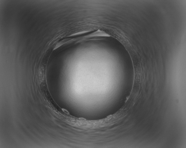 X0000084040043200702232336