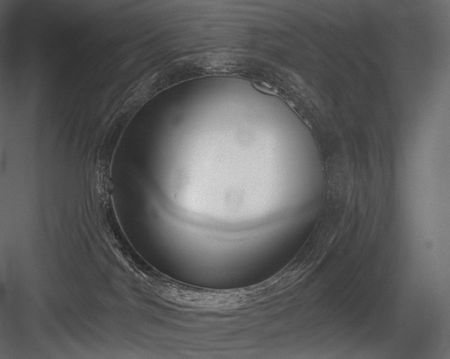 X0000084040044200702232336