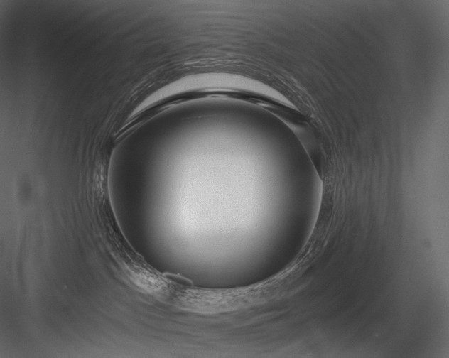 X0000084040045200702232336