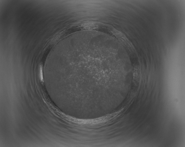 X0000084040046200702232336