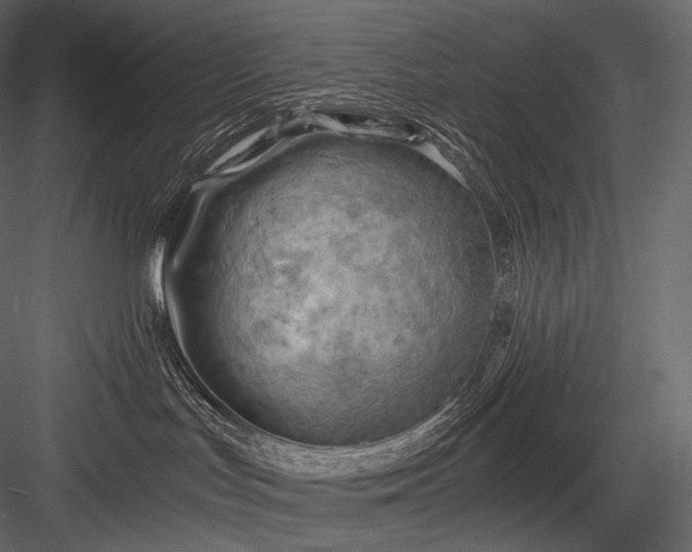 X0000084040047200702232336