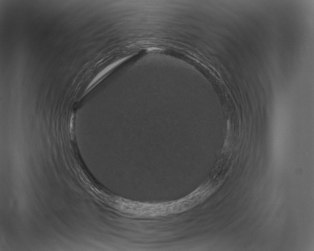 X0000084040048200702232336