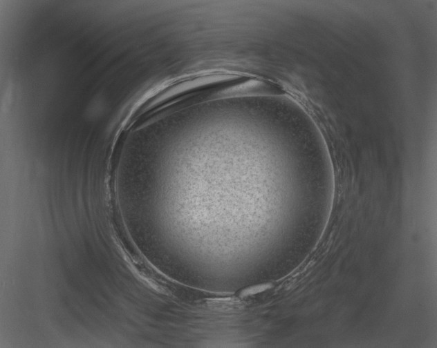 X0000084040050200702232335