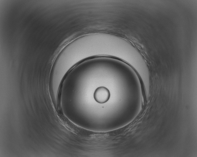 X0000084040051200702232335