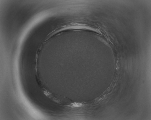 X0000084040052200702232335