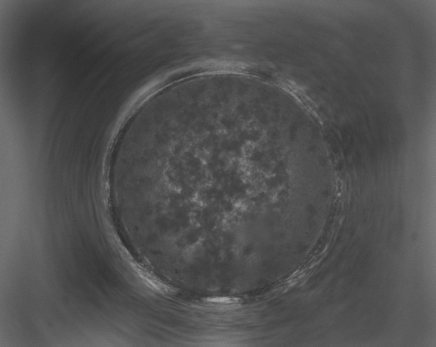 X0000084040053200702232336