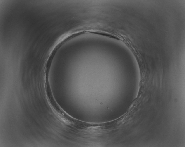 X0000084040054200702232336