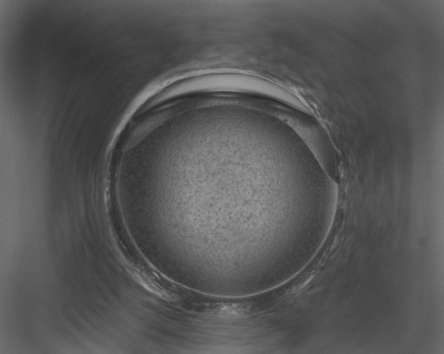 X0000084040056200702232336