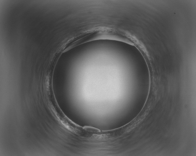 X0000084040057200702232336