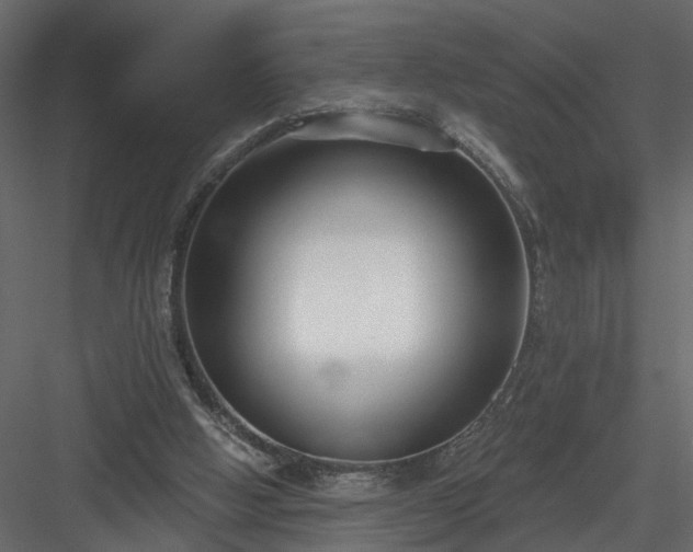 X0000084040058200702232336