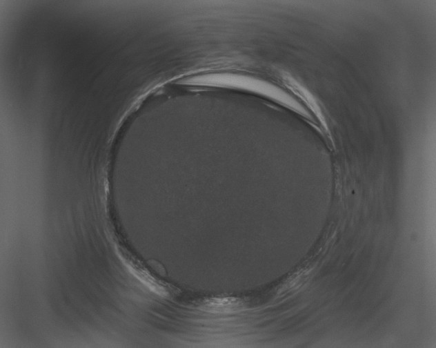 X0000084040059200702232336