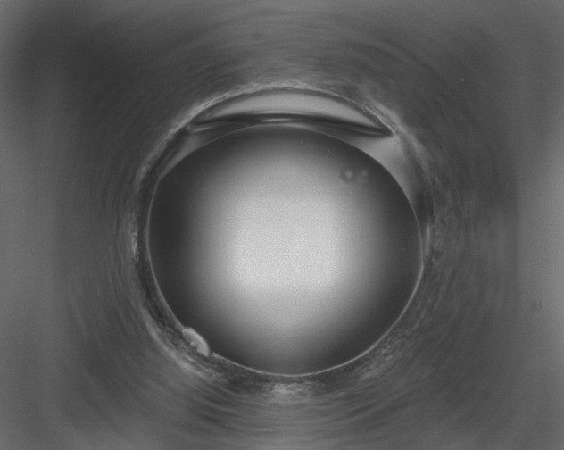 X0000084040060200702232336