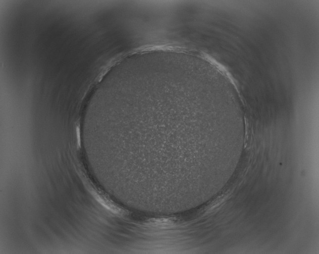 X0000084040061200702232336