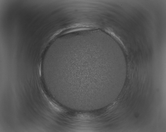 X0000084040062200702232336