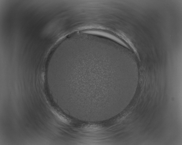 X0000084040063200702232336