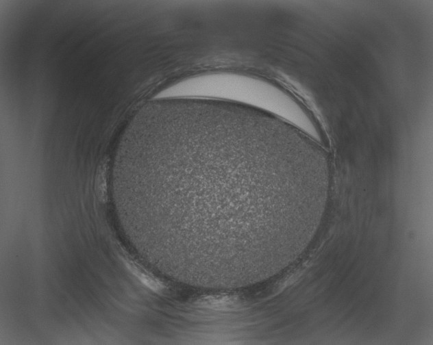 X0000084040065200702232336