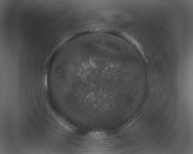 X0000084040067200702232336