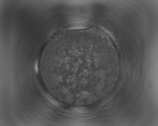 X0000084040069200702232336