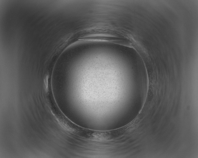 X0000084040070200702232336