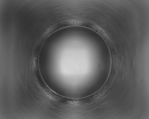 X0000084040071200702232336