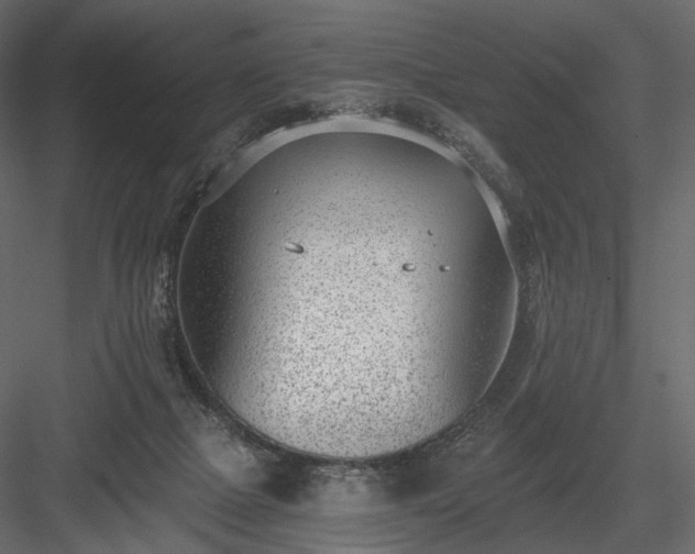 X0000084040073200702232336